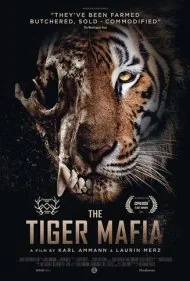 مافیای ببر (The Tiger Mafia)