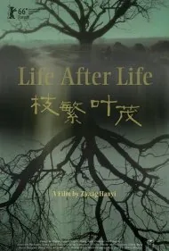 زندگی پس از زندگی (Life After Life)
