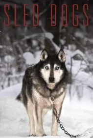 سگ‌های سورتمه (Sled Dogs)