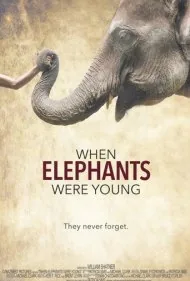 زمانی که فیل‌ها جوان بودند (When Elephants Were Young)