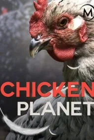 سیاره مرغ‌ها (Chicken Planet)