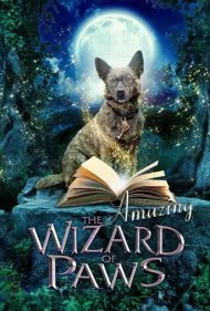 جادوگر شگفت‌انگیز پنجه‌ها (The Amazing Wizard of Paws)