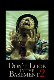 در زیرزمین نگاه نکن ۲ (Don't Look in the Basement 2)