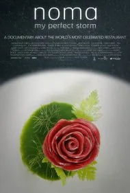 نوما: طوفان بی‌نقص من (Noma: My Perfect Storm)