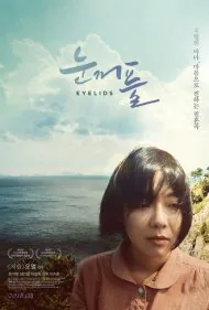 پلک‌ها (Eyelids)