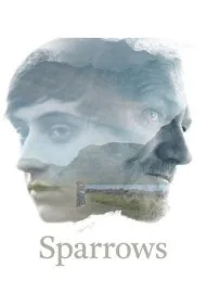 گنجشک‌ها (Sparrows)