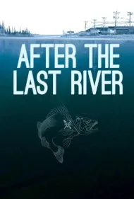 پس از آخرین رودخانه (After the Last River)