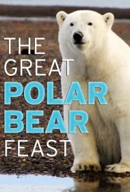 ضیافت بزرگ خرس‌های قطبی (The Great Polar Bear Feast)