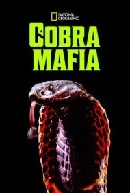 مافیای کبرا (Cobra Mafia)