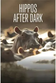 اسب‌های آبی پس از تاریکی هوا (Hippos after Dark)