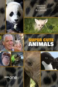حیوانات فوق‌العاده بامزه (Super Cute Animals)