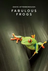 قورباغه‌های شگفت‌انگیز (Fabulous Frogs)