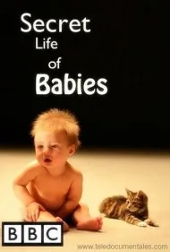 زندگی مخفی نوزادان (Secret Life of Babies)