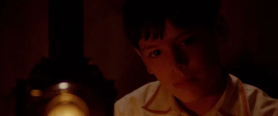 فانی و الکساندر (Fanny and Alexander)