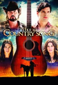مثل یک آهنگ محلی (Like a Country Song)