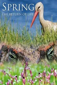 بهار: بازگشت زندگی (Spring: The Return of Life)