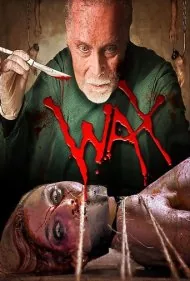 موم (Wax)