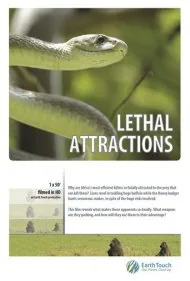 جذابیت‌های مرگبار (Lethal Attractions)