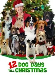 ۱۲ روز سگی تا کریسمس (12 Dog Days Till Christmas)