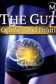 روده: مغز دوم ما (The Gut: Our Second Brain)