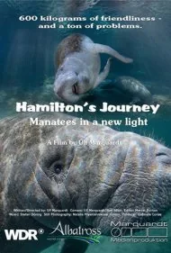 سفر همیلتون: گاوهای دریایی در نمایی جدید (Hamilton's Journey - Manatees in a New Light)