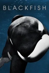 بلک‌فیش (Blackfish)