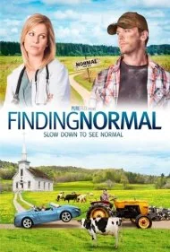 یافتن نرمال (Finding Normal)