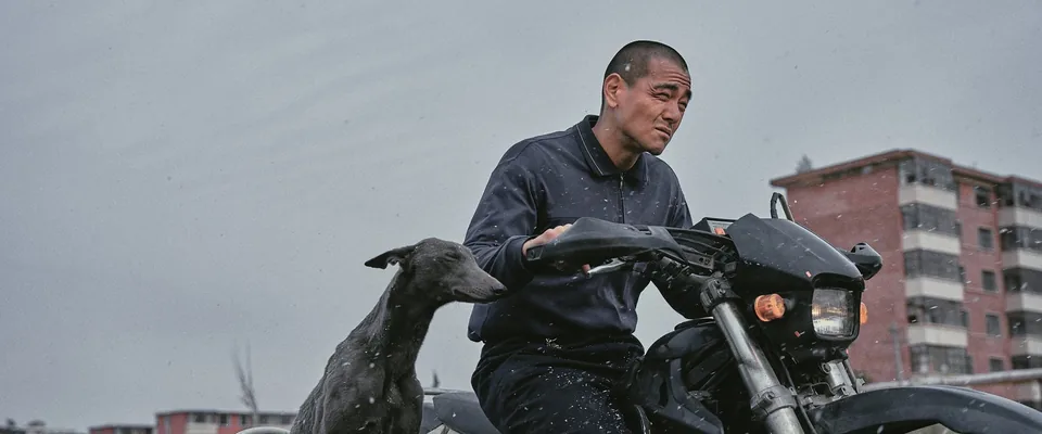 محموله سیاه (فیلم) (Black Dog)