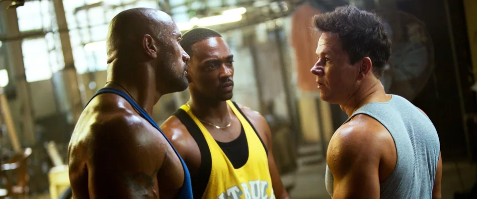 رنج و گنج (Pain &amp; Gain)