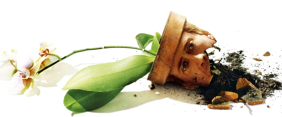 اقتباس (Adaptation.)