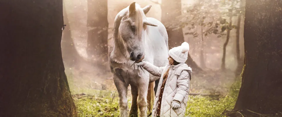 آخرین تک‌شاخ (Tale of the Forest Unicorn)