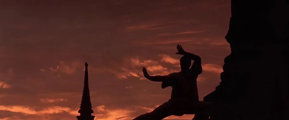 کیک‌بوکسینگ (Kickboxer)