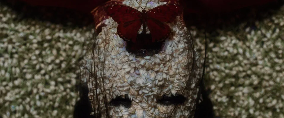 The Butterfly House (Mathieu Amalric)