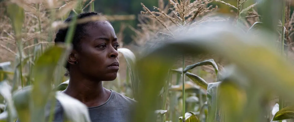 40 Acres (Danielle Deadwyler)