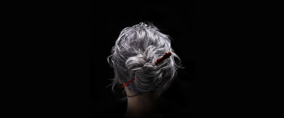 پیرزنی با چاقو (The Old Woman with the Knife)