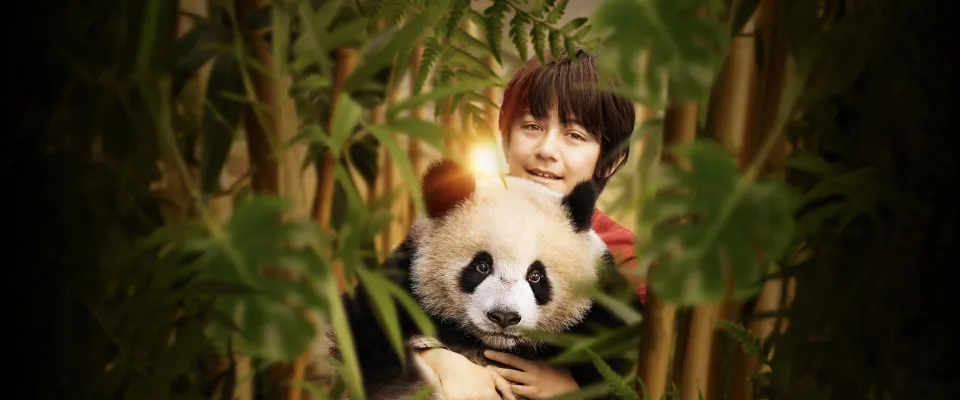 Moon the Panda (Noé Liu Martane)