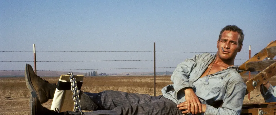 لوک خوش‌دست (Cool Hand Luke)