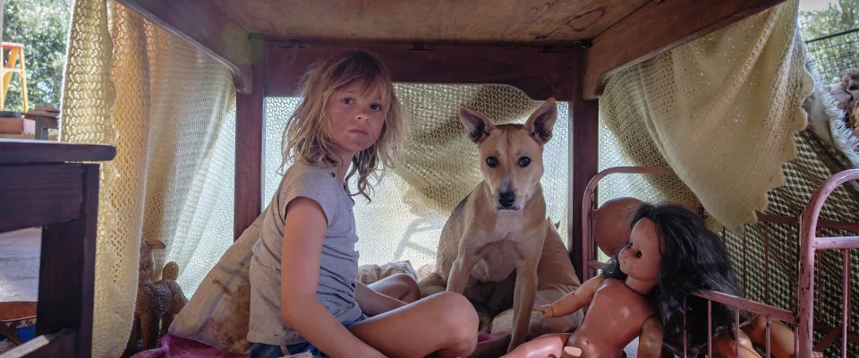 Don’t Let’s Go to the Dogs Tonight (Lexi Venter)