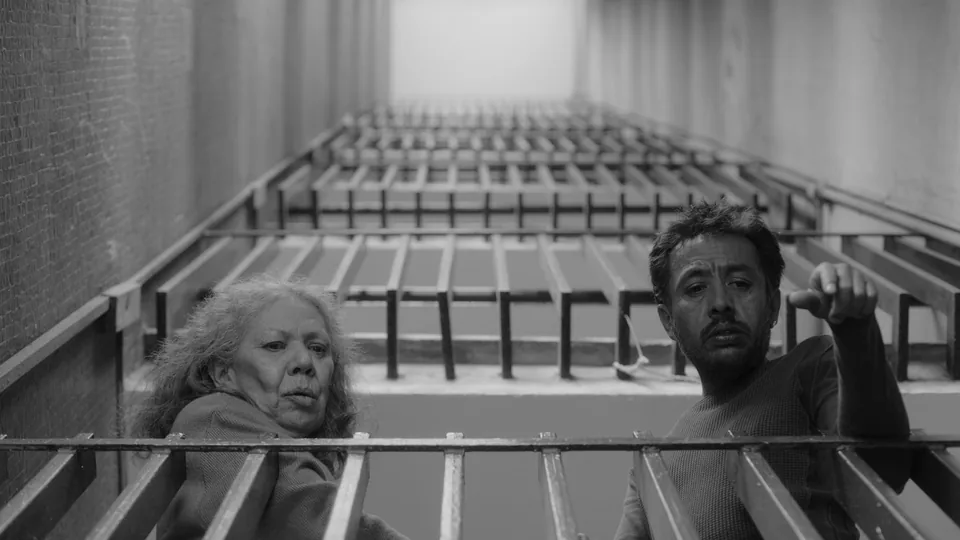 We Shall Not Be Moved (Juan Carlos Colombo)