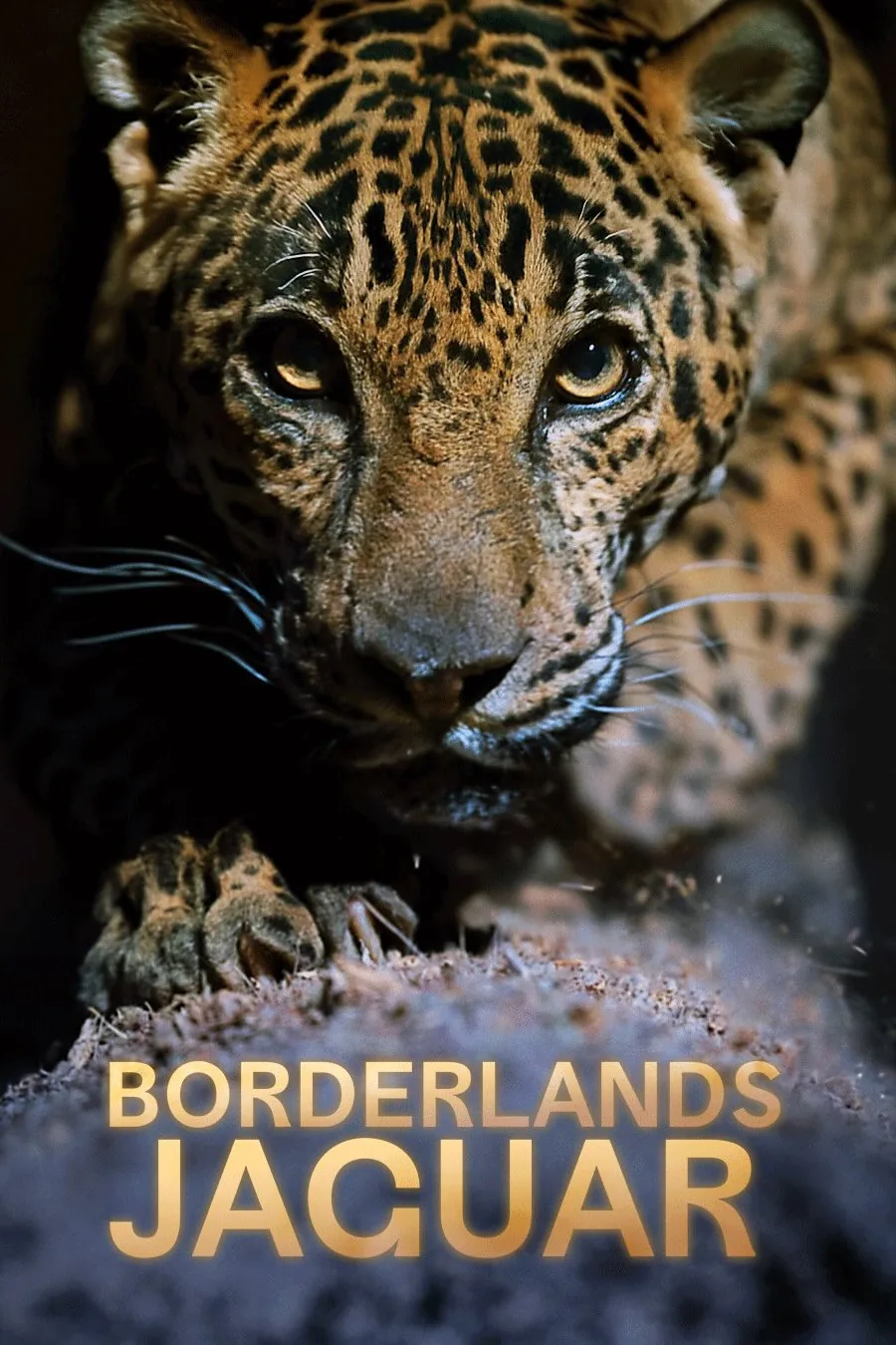 مستند Borderlands Jaguar (Borderlands Jaguar)