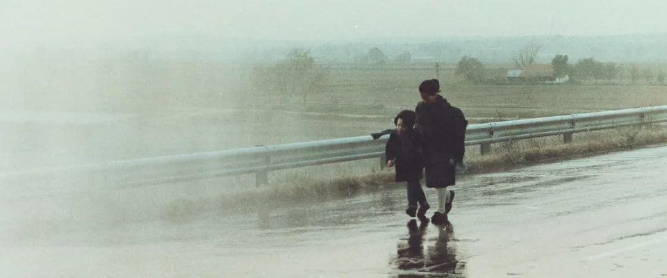چشم‌اندازی در مه (Landscape in the Mist)