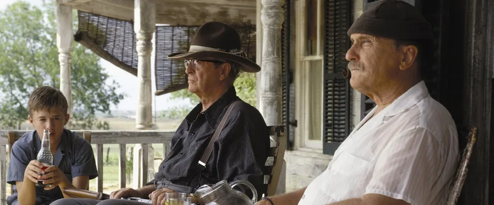 شیرهای دست دوم (Secondhand Lions)