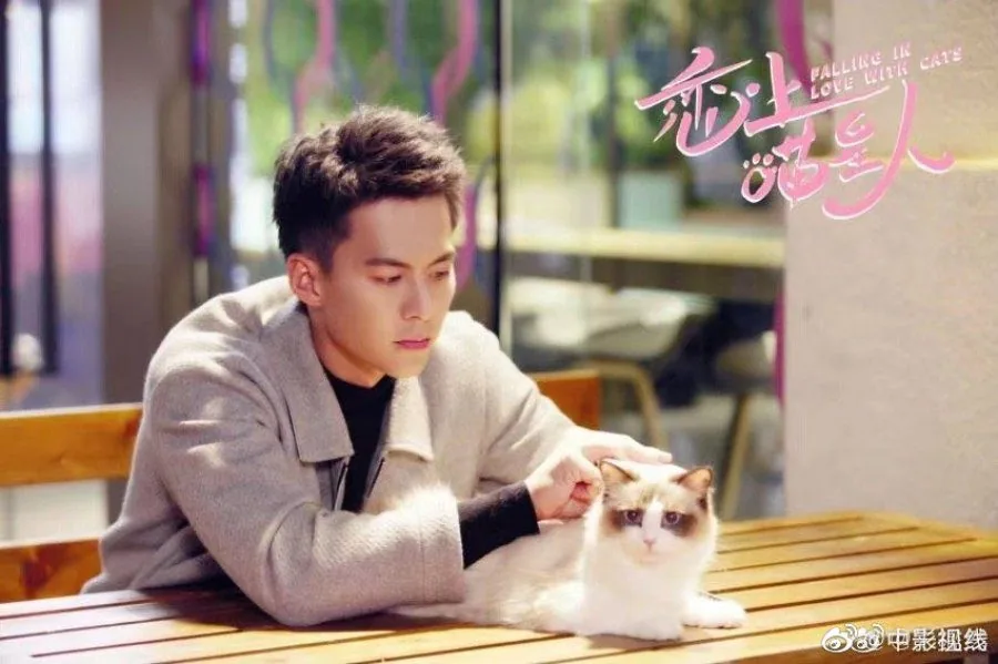 عاشق گربه ها شدم (Falling in Love With Cats)