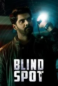 نقطه کور (Blind Spot)