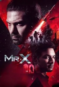 آقای ایکس (Mr. X)