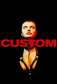 سفارشی (Custom)