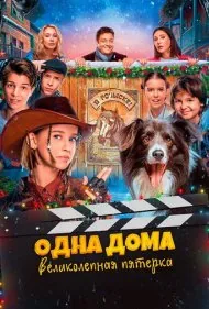 نجات گنادی (Home Alone The Magnificent Five)