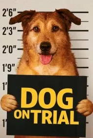 سگ در دادگاه (Dog on Trial)