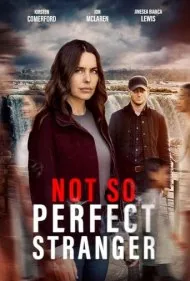 غریبه‌ای نه چندان کامل (Not So Perfect Stranger)