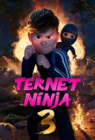 نینجای شطرنجی 3 (Checkered Ninja 3)